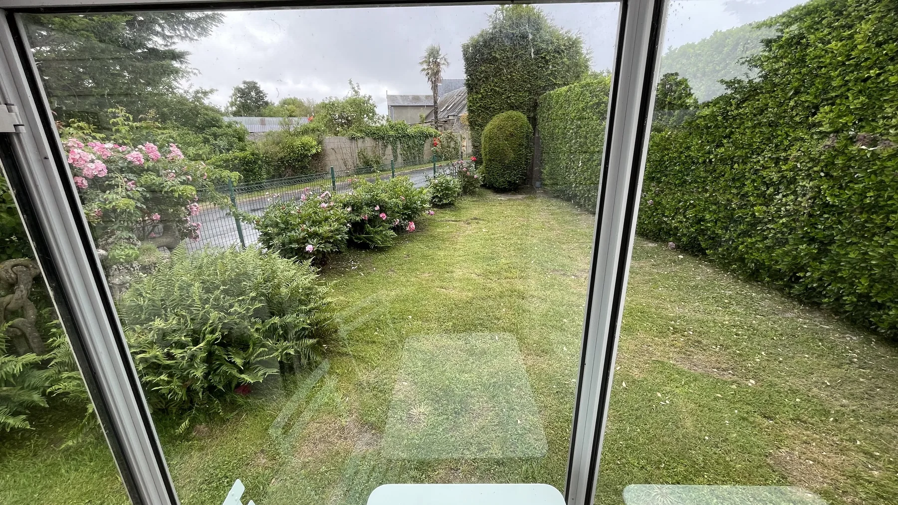 Pelouse vue depuis la maison